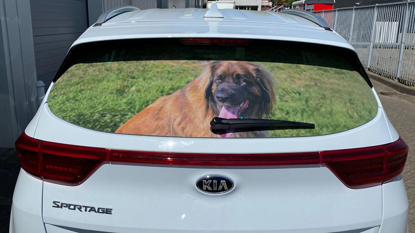 Autostickers bestellen? | StickerCompany
