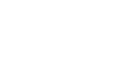 heineken-500x250