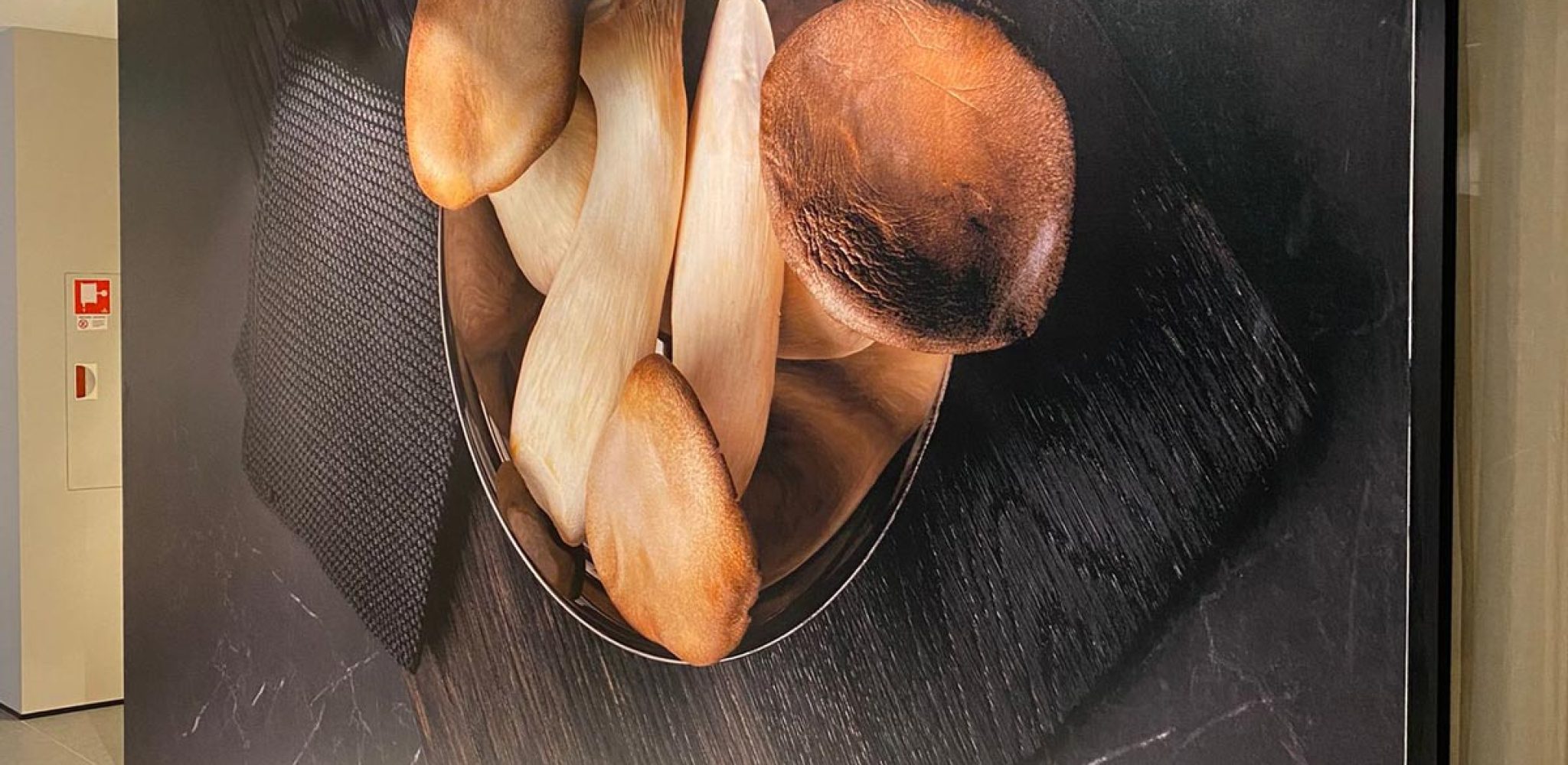 Fotobehang, foto op wand in horeca zaak met paddenstoelen